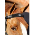 Premier Equine Magnetic Horse Brow Band